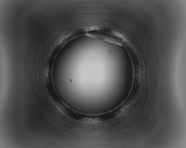 X0000086290548200704131550