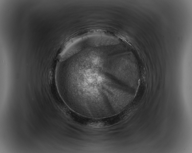 X0000086290551200704131550