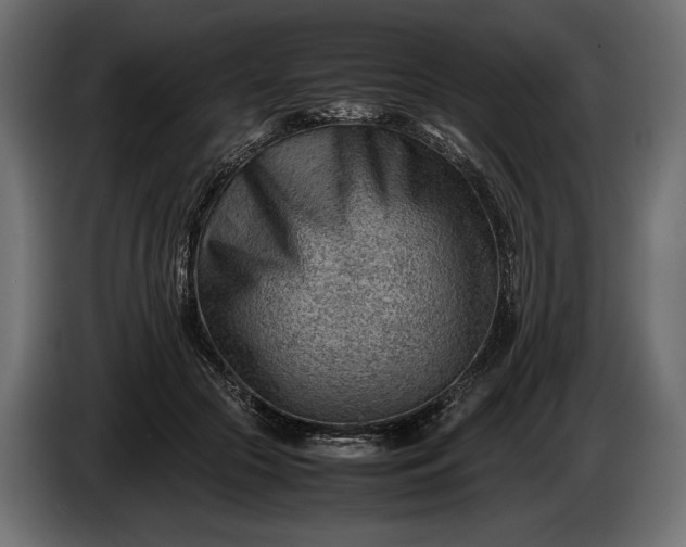 X0000086290553200704131550