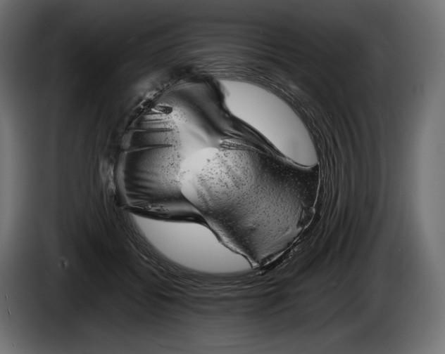 X0000086290556200704131550