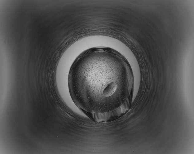 X0000086290558200704131550