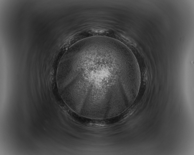 X0000086290559200704131550