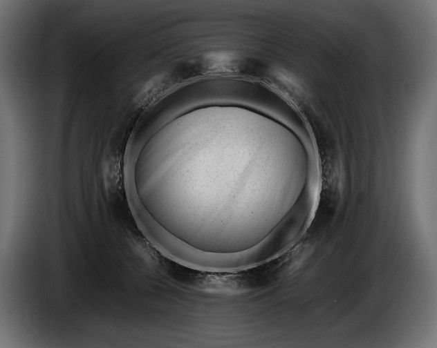 X0000086290560200704131550
