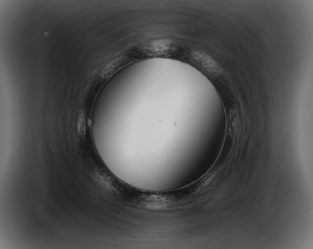 X0000086290562200704131550