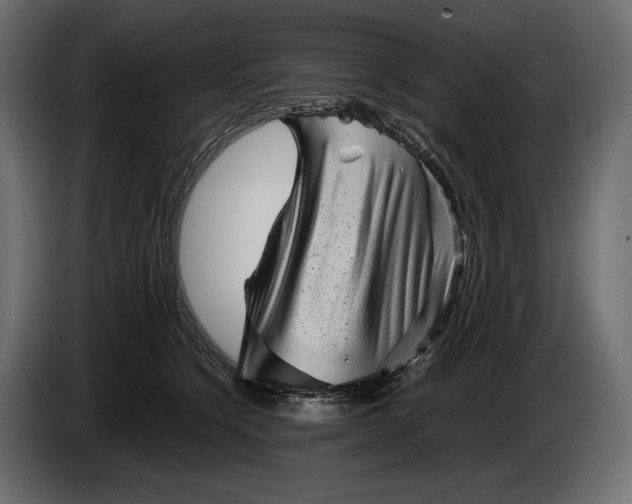 X0000086290564200704131550