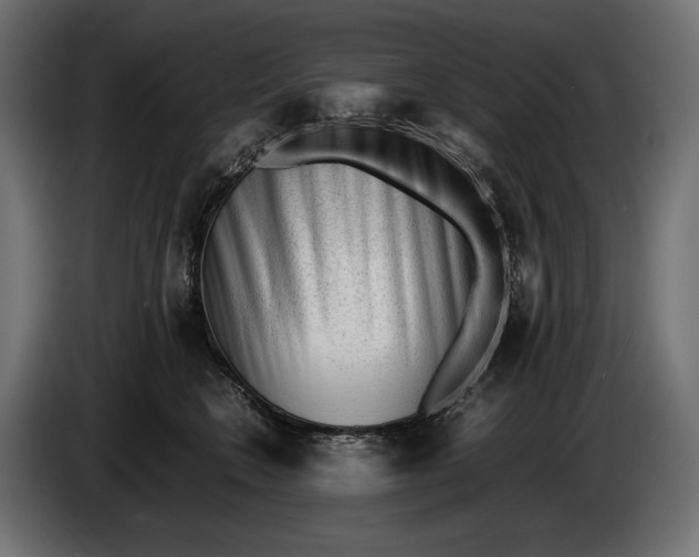 X0000086290566200704131550