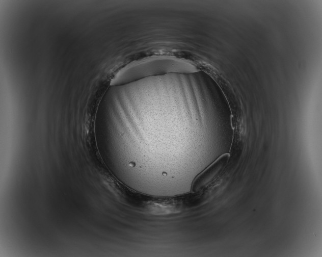 X0000086290567200704131550