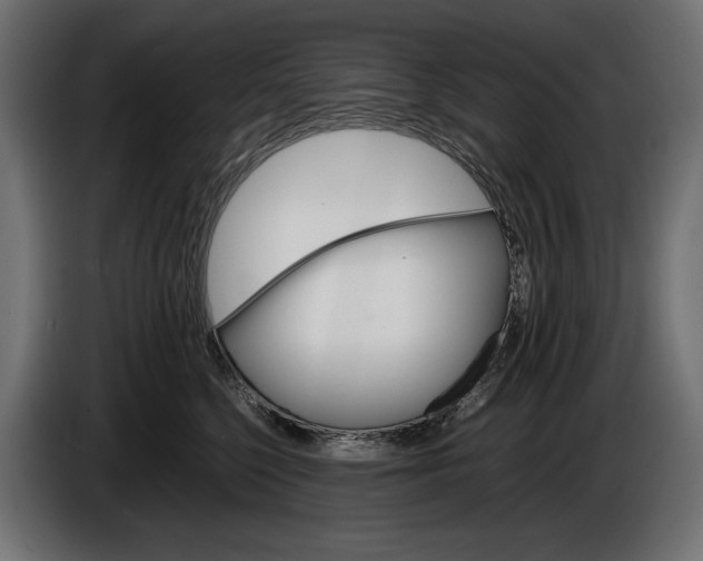 X0000086290568200704131550