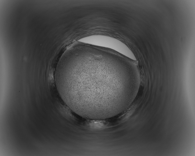 X0000086290573200704131550