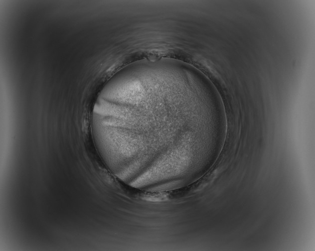 X0000086290576200704131550