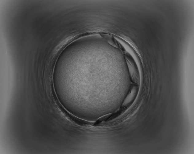 X0000086290577200704131550