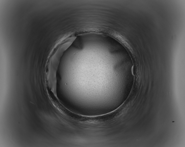 X0000086290578200704131550