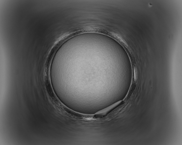 X0000086290579200704131550