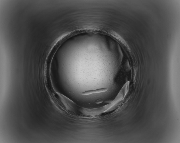 X0000086290580200704131550
