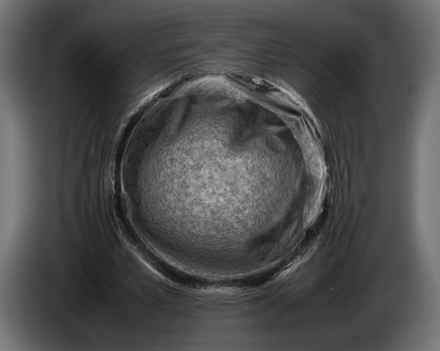 X0000086290581200704131549