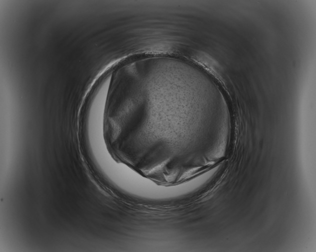 X0000086290584200704131549