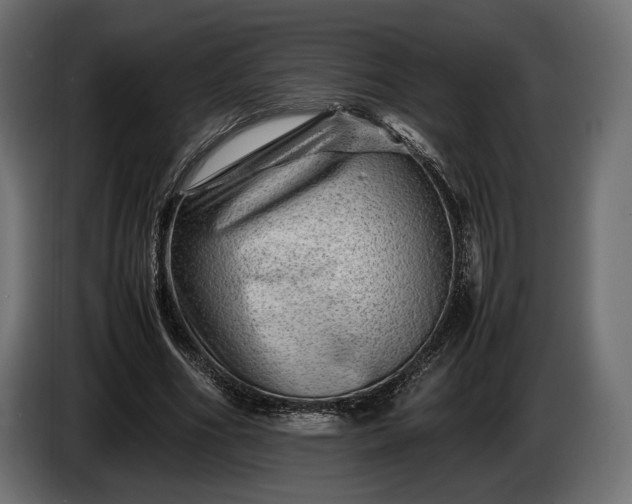 X0000086290586200704131549