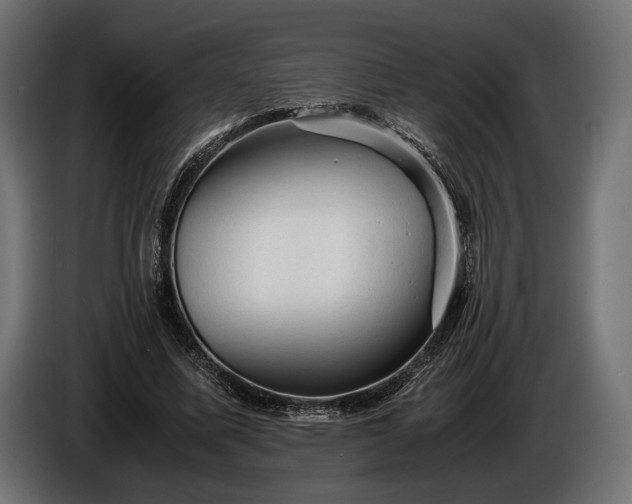 X0000086290587200704131549