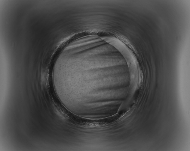 X0000086290588200704131549