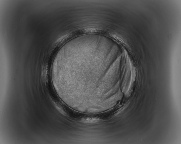X0000086290590200704131549