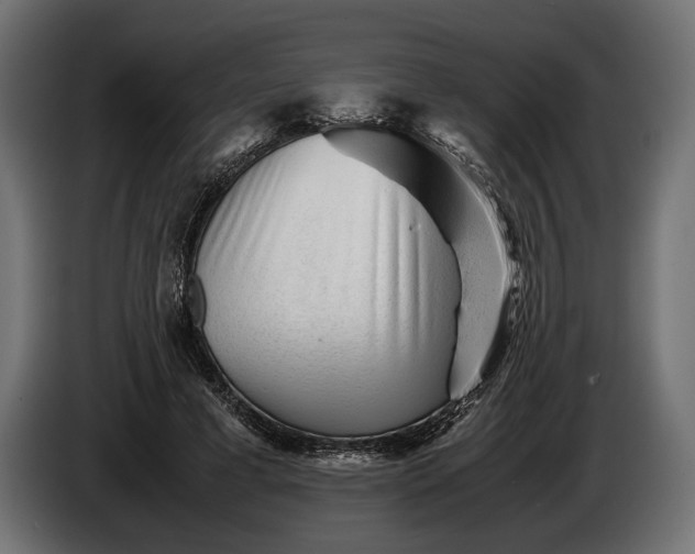 X0000086290593200704131549