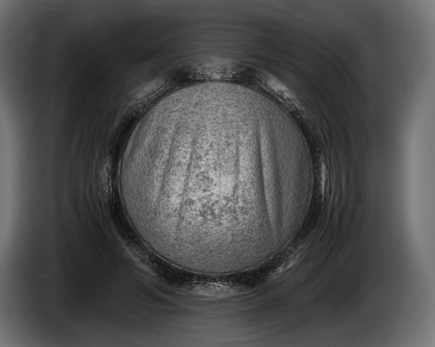 X0000086290594200704131549