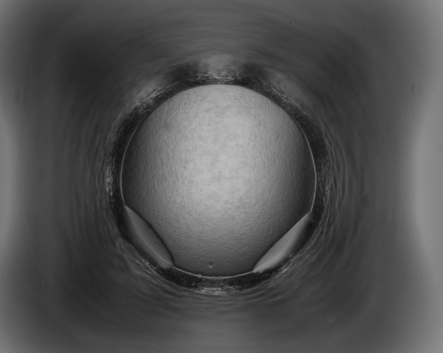 X0000086290595200704131549