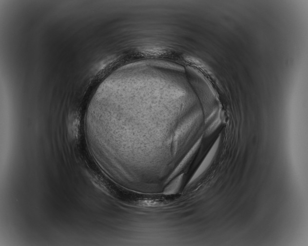 X0000086290596200704131549
