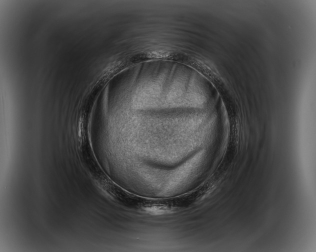 X0000086290598200704131549