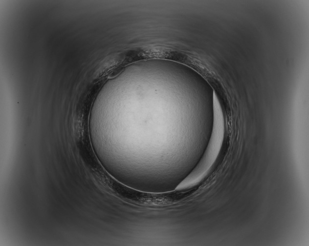 X0000086290599200704131549