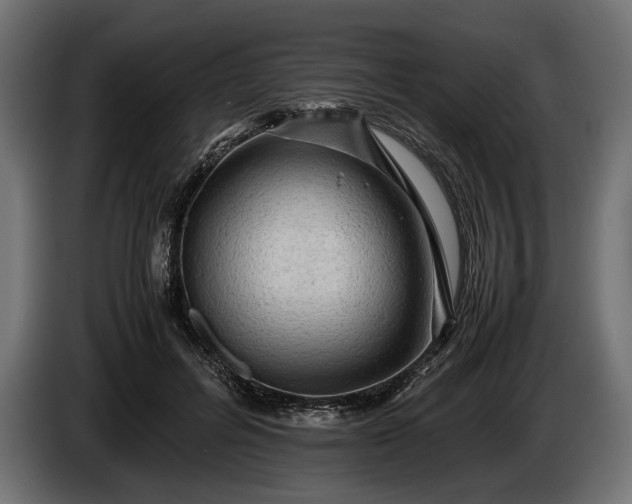 X0000086290600200704131549