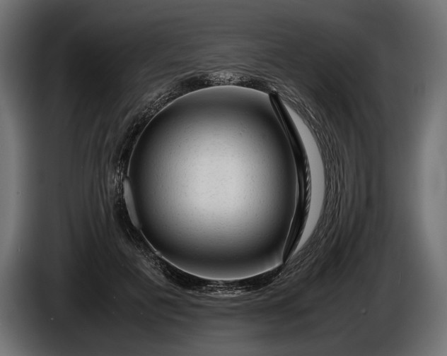 X0000086290601200704131549