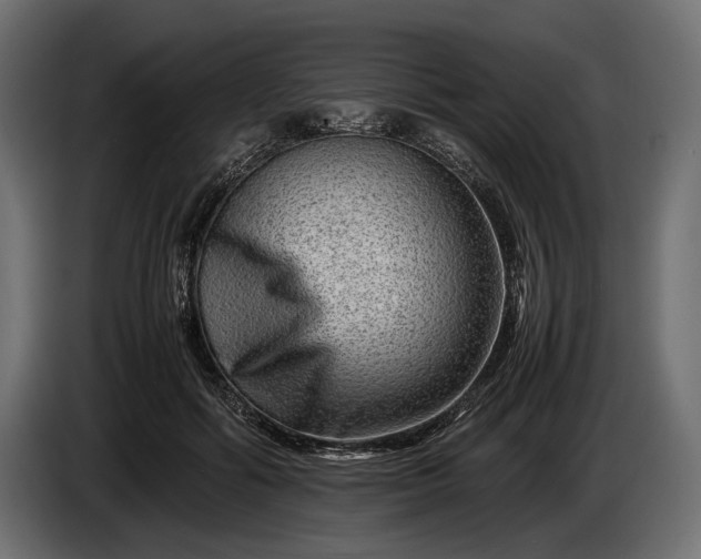 X0000086290602200704131549
