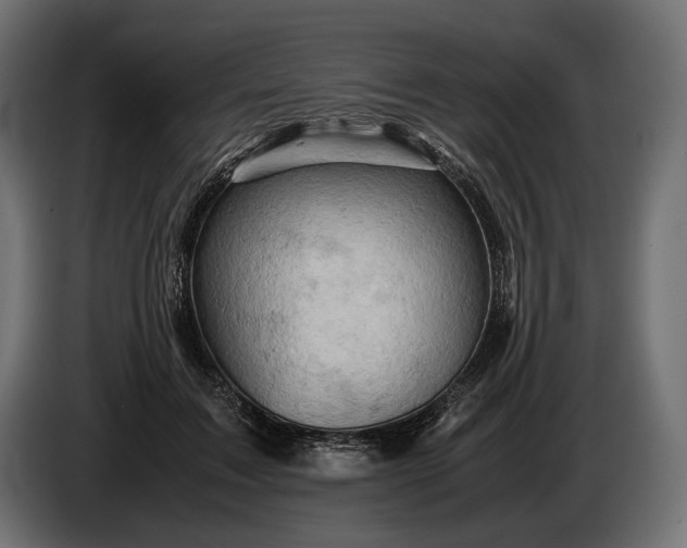 X0000086290603200704131549