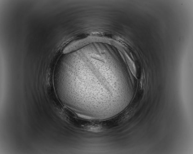 X0000086290604200704131549