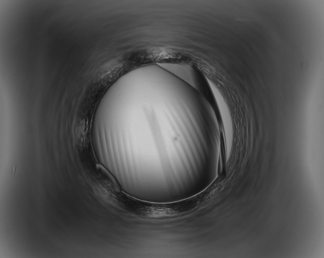 X0000086290605200704131549