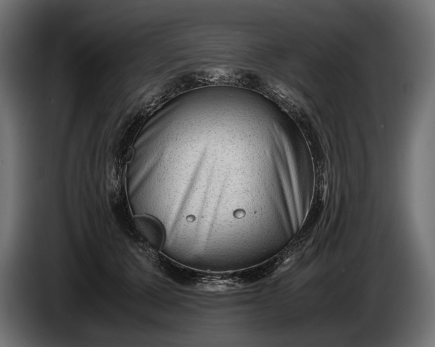 X0000086290607200704131549