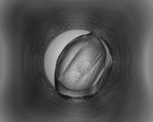 X0000086290608200704131549