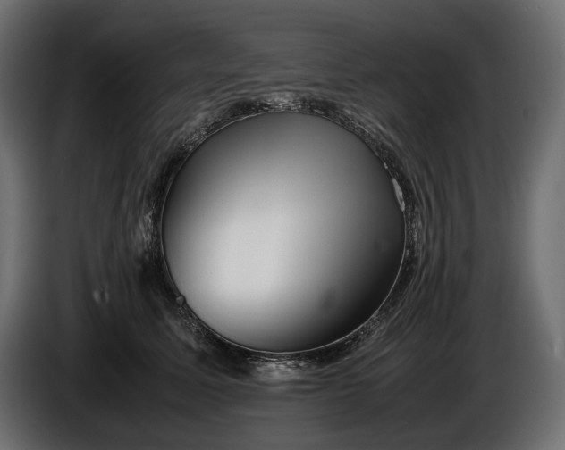 X0000086290611200704131549