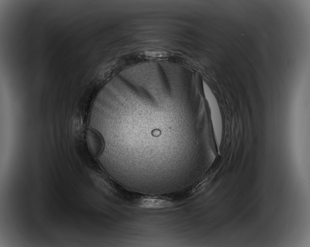 X0000086290614200704131549