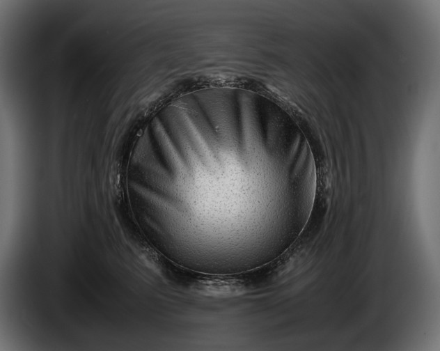 X0000086290615200704131549