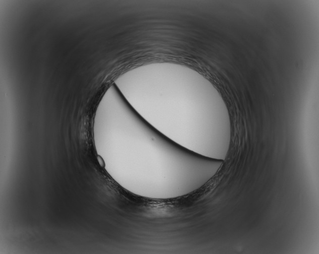 X0000086290616200704131549