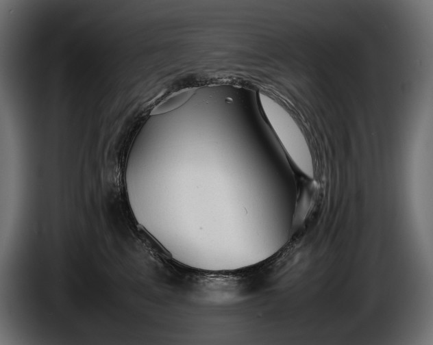 X0000086290617200704131549