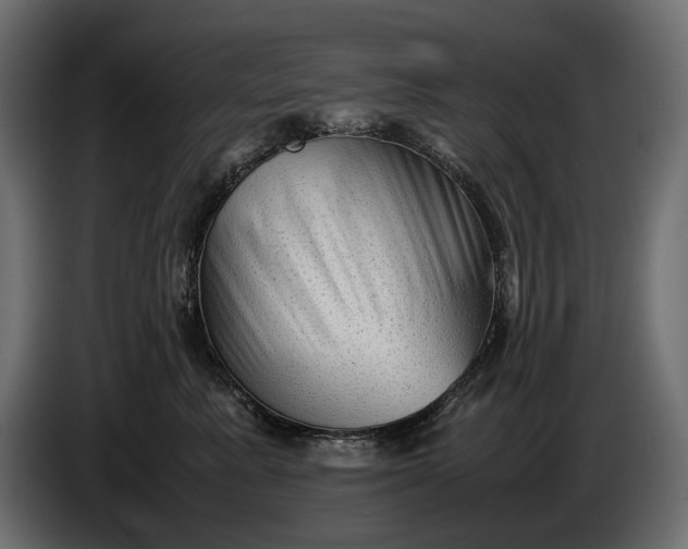 X0000086290619200704131549