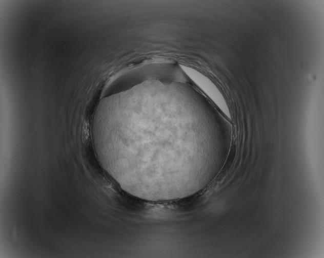 X0000086290621200704131549