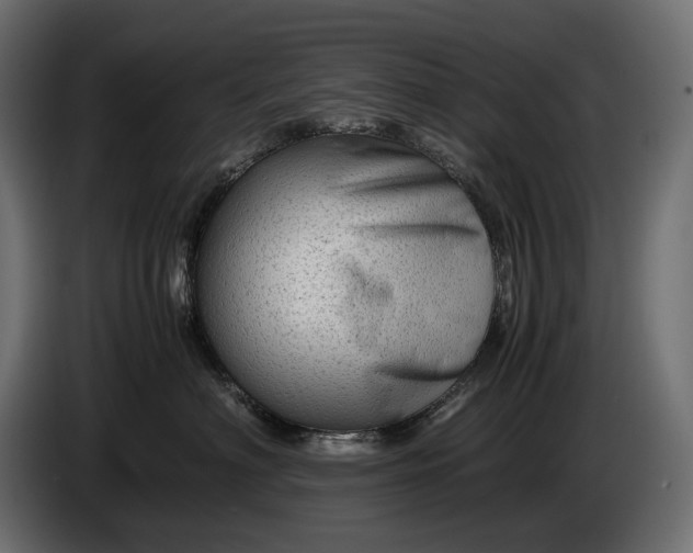 X0000086290622200704131549