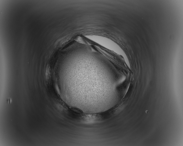 X0000086290623200704131549