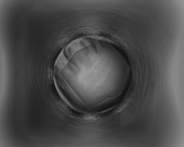 X0000086290624200704131549
