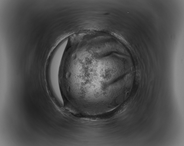 X0000086290626200704131548