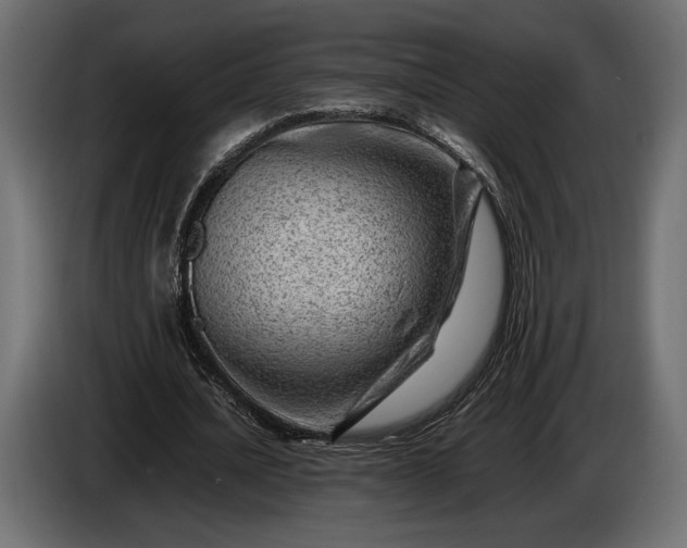 X0000086290628200704131548